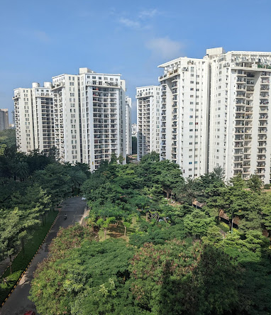 PXL_20221019_035108175
